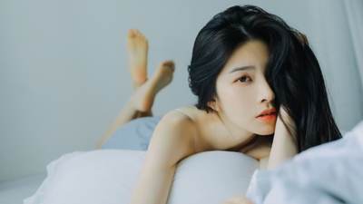 明起 到泉州市区滨海公园赏最美“菊花海”