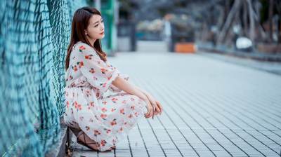 明起 到泉州市区滨海公园赏最美“菊花海”